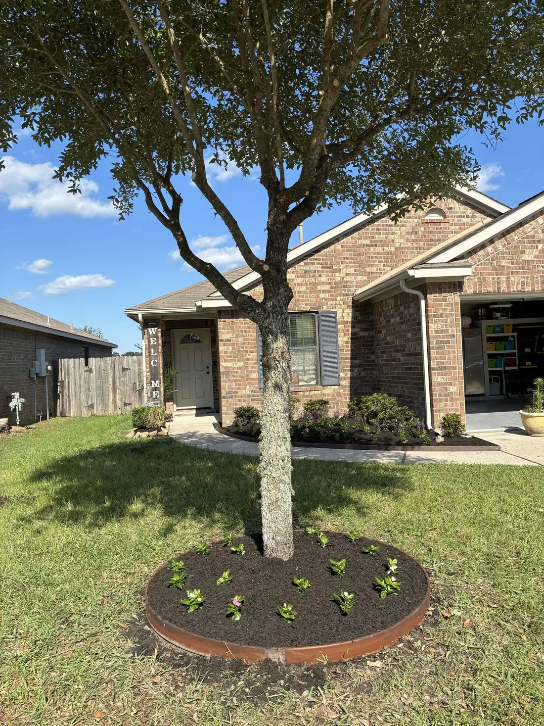 Mulched tree ring with fresh plantings in front of a brick home in the Houston suburbs