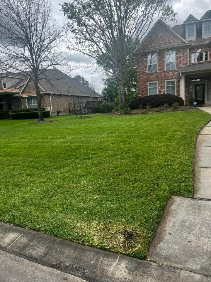 Freshly mowed lawn with clean stripes in front of a brick home